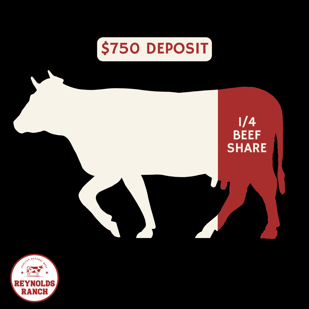 1/4 Beef Share Deposit